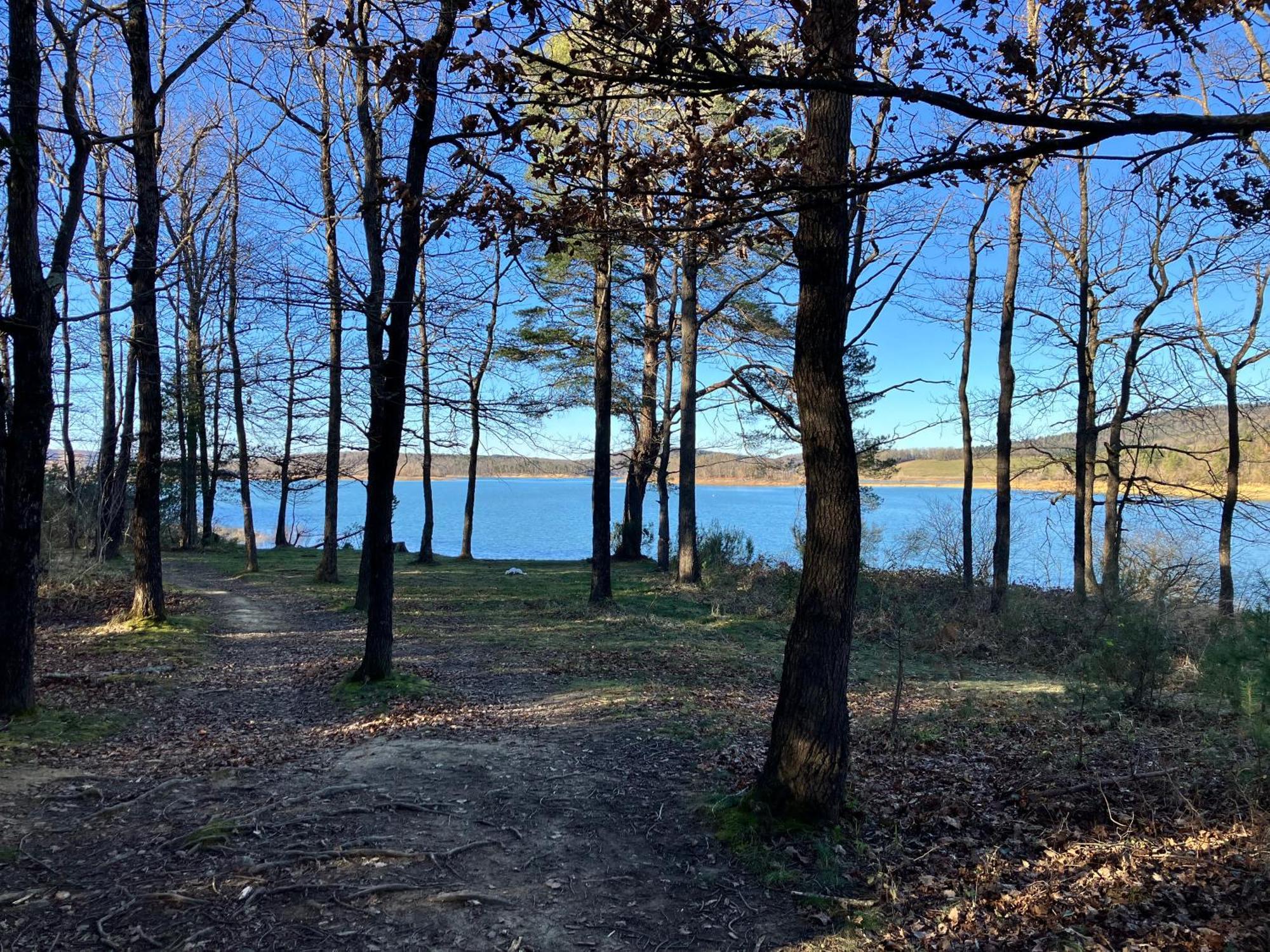 Maison Avec Vue Sur Le Lac De Montbel Екстериор снимка